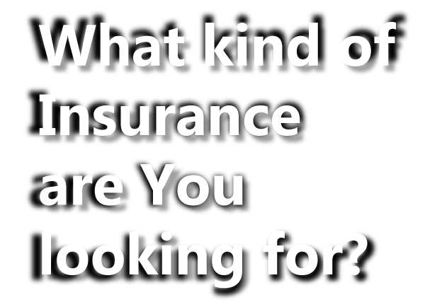 What kind of insurance are you looking for?